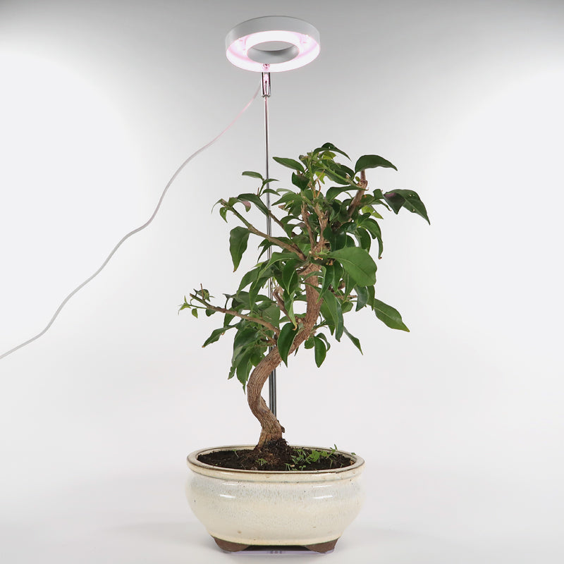 LED Pflanzenlampe weiss, rotspektrum