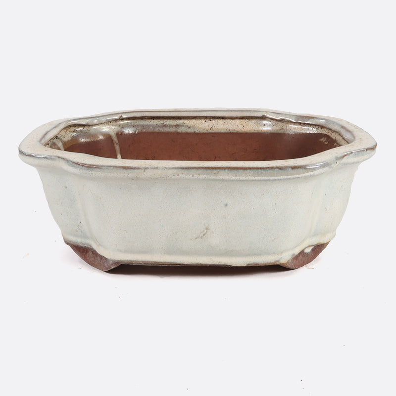 Bonsaischale gebraucht, 21 x 16.5 x 7.5 cm, beige