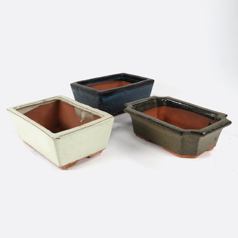 Set Bonsaischalen gebraucht, 3 Stk à 15 cm