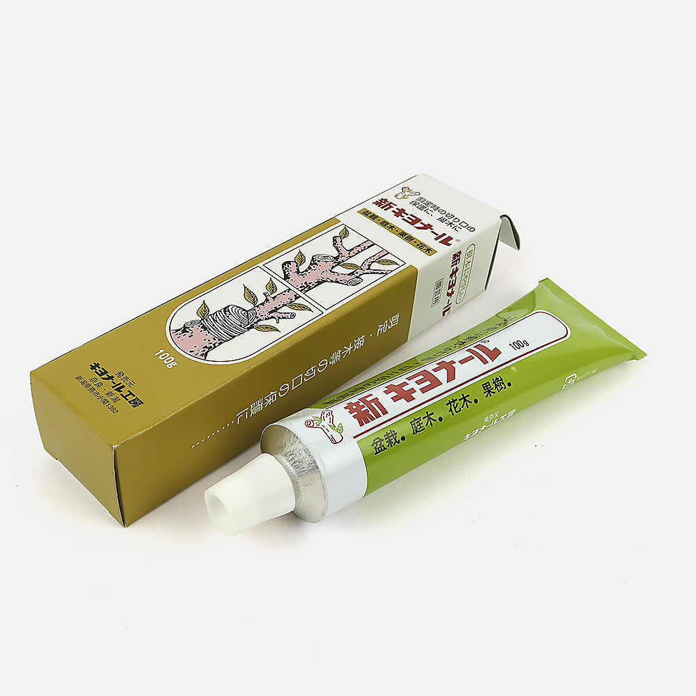 Kiyonaru Wundpaste 100 g