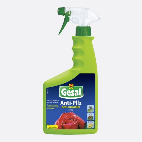 pilz bonsai Anti Pilz FORTE