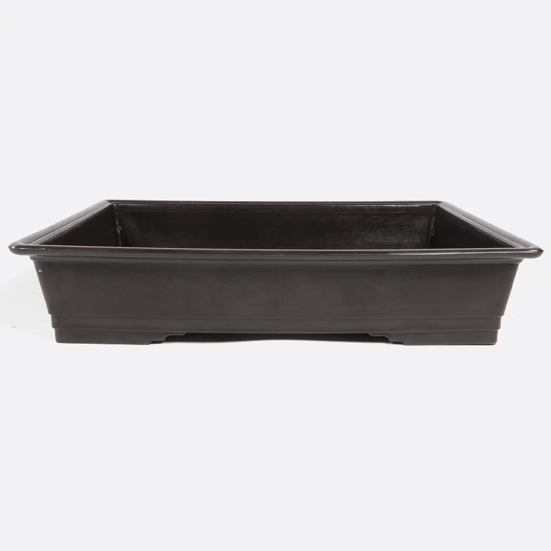 toilettenpapier aus bambus oecolife Toilettenpapier Bambus