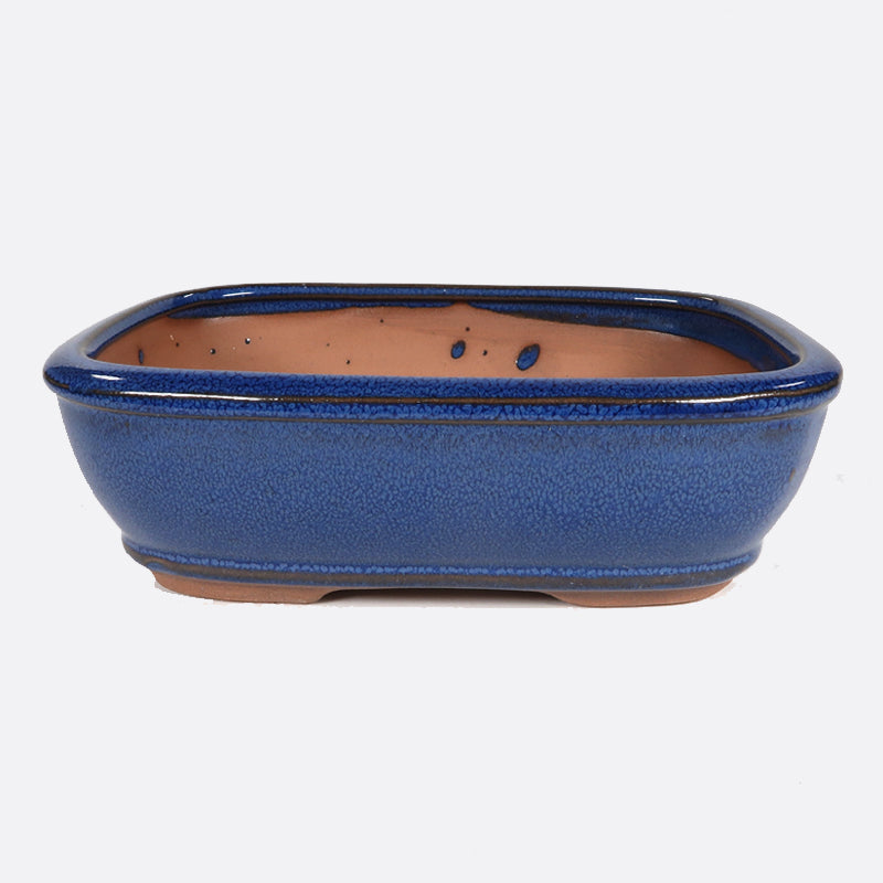 Bonsaischale 20 x 14.5 x 6 cm, blau