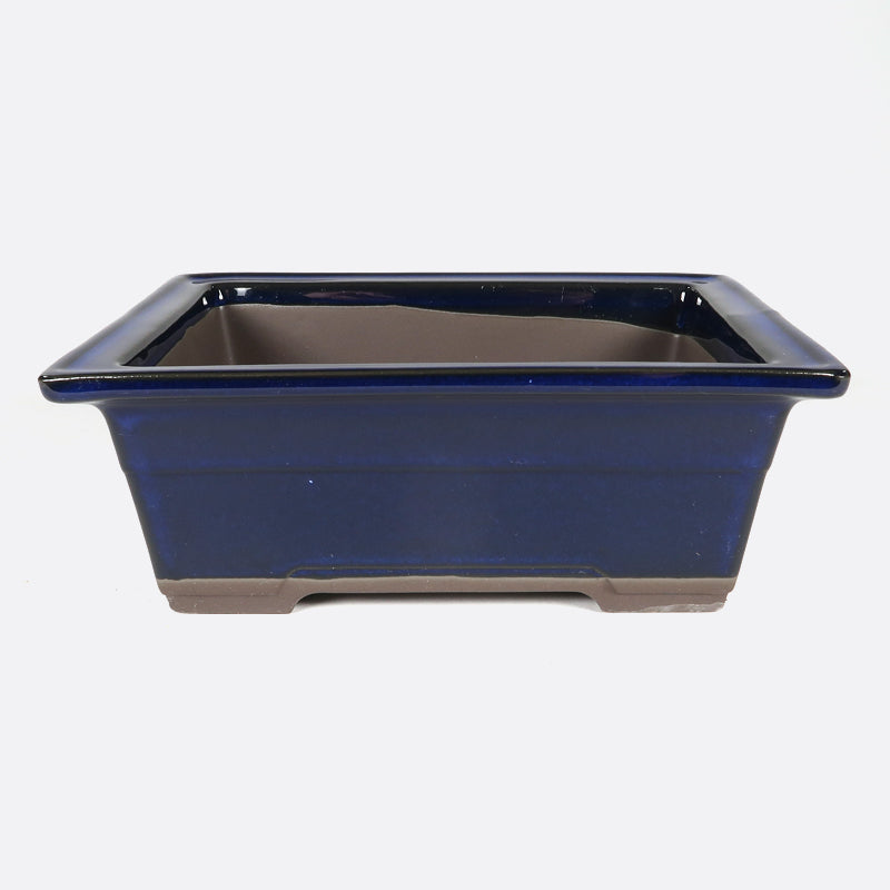 Bonsaischale 20 x 15 x 6.5 cm, blau