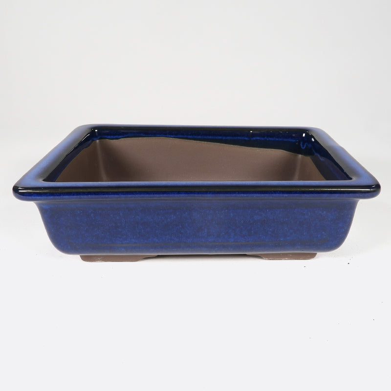 Bonsaischale 19 x 14 x 6, blau