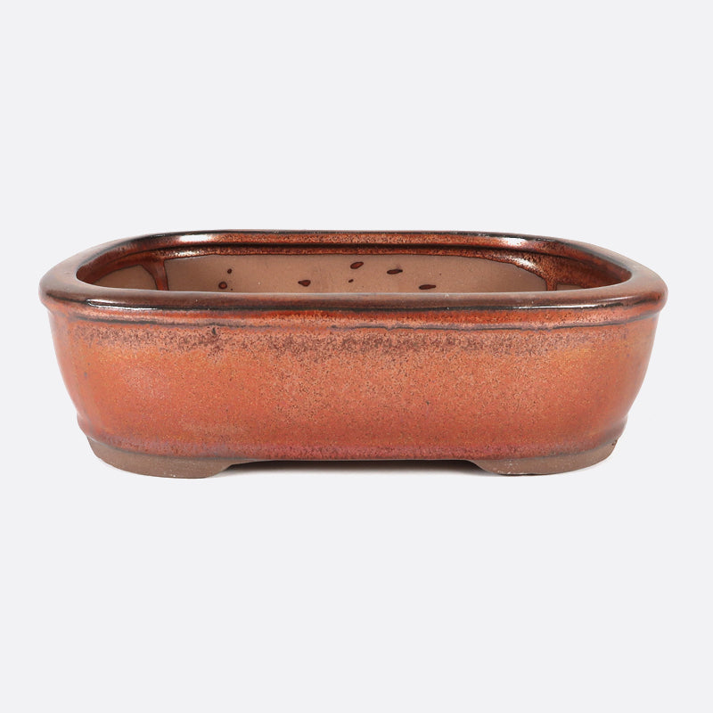 Bonsaischale 21 x 16 x 6 cm, kupfer