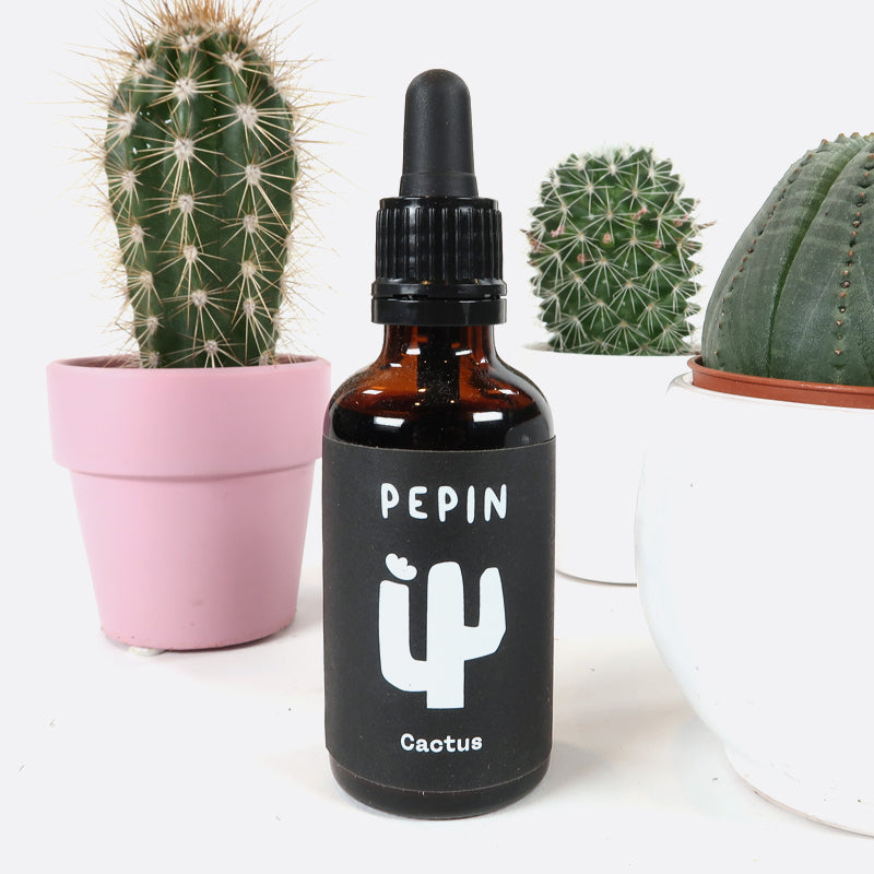 Dünger für sukkulente Pflanzen 50 ml