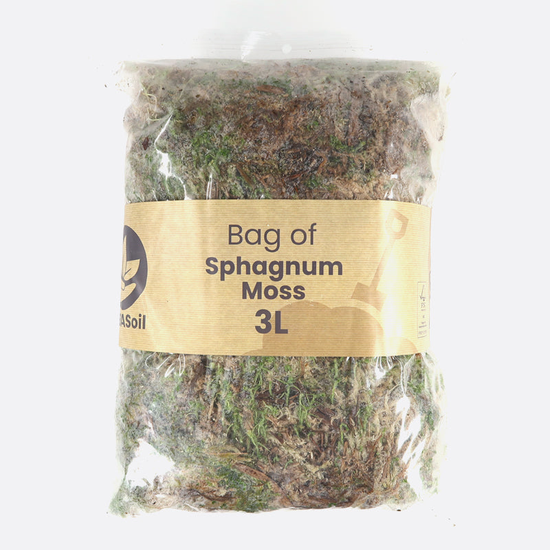 Sphagnum Moos 3 L