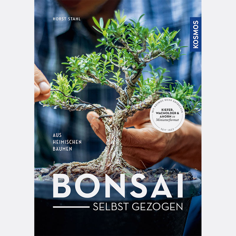 Bonsai selbst gezogen - aus heimischen Bäumen | Bonsai.ch E-Commerce GmbH.