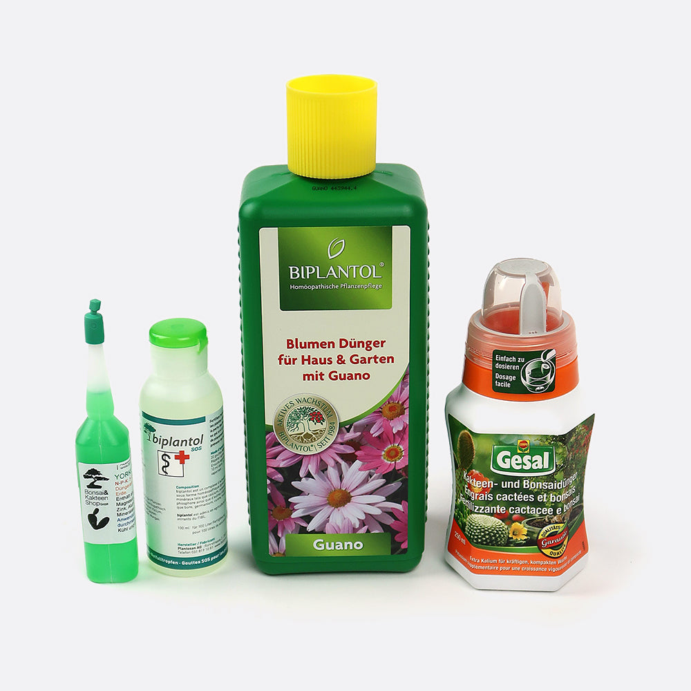 aloe first beneficii Forever Aloe First Spray  Spray de aloe vera con 81% de aloe vera   4everaloevera