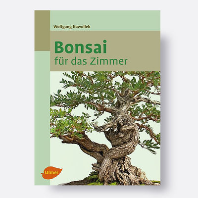 Bonsai für das Zimmer | Bonsai.ch E-Commerce GmbH.