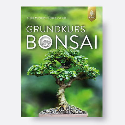 Grundkurs Bonsai | Bonsai.ch E-Commerce GmbH.