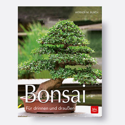 Bonsai für draussen und drinnen | Bonsai.ch E-Commerce GmbH.