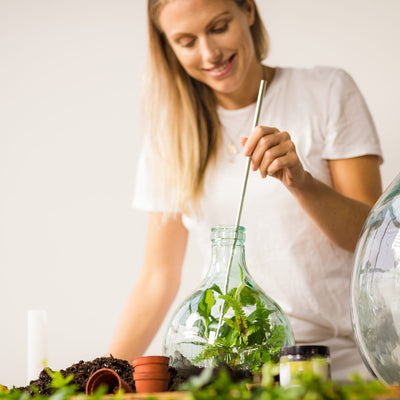 Terrariumflasche und Zubehör