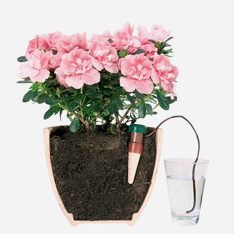 Automatischer Wasserspender für Zimmerpflanzen