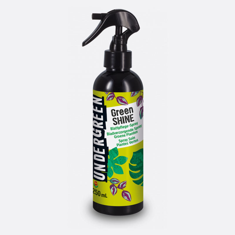 Blattpflege-Spray schützt und gibt Feuchtigkeit | Bonsai.ch E-Commerce GmbH.